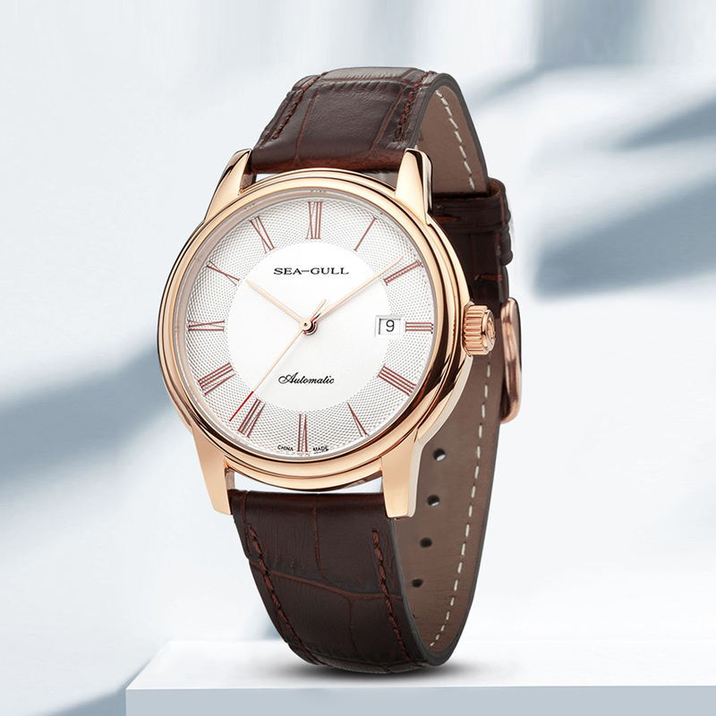 Seagull männer Mechanische Uhr – Omega Watch Constellation Bewertung und Preis