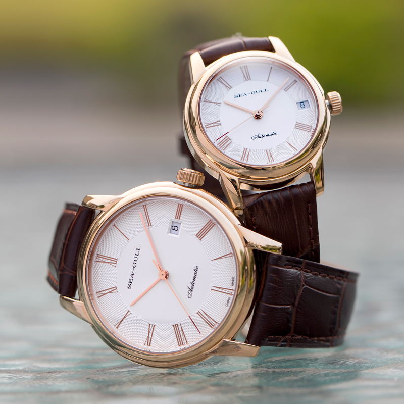 Seagull männer Mechanische Uhr – Omega Watch Constellation Bewertung und Preis